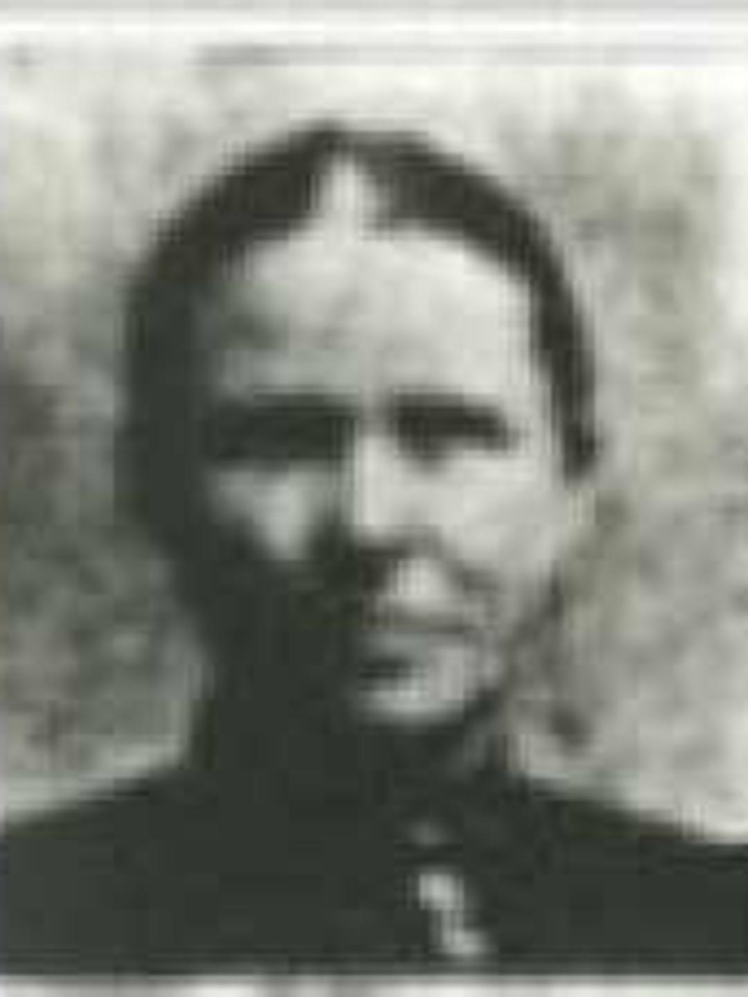 Esther Amelia Russell (1845 - 1911) Profile